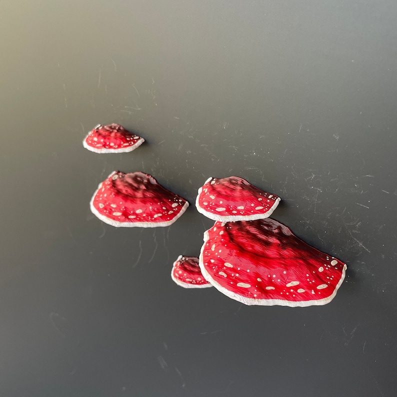 Mushroom Magnets, 3D fridge magnets Set of 5 red Amanita zdjęcie 1