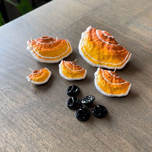Mushroom Pins/shelf Fungi Dark Brown set of 5 Etsy