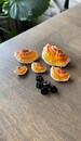 Mushroom Pins/Shelf fungi, orange (Set of 5) 