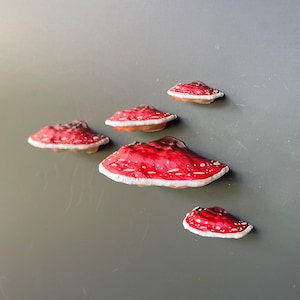 Mushroom Magnets, 3D fridge magnets Set of 5 red Amanita zdjęcie 3