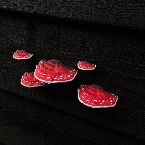 stick-on Wall Mushrooms/Shelf fungi ''Amanita'' (set of 5), RENTER FRIENDLY