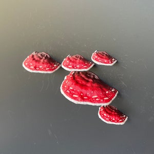 Mushroom Magnets, 3D fridge magnets Set of 5 red Amanita zdjęcie 2