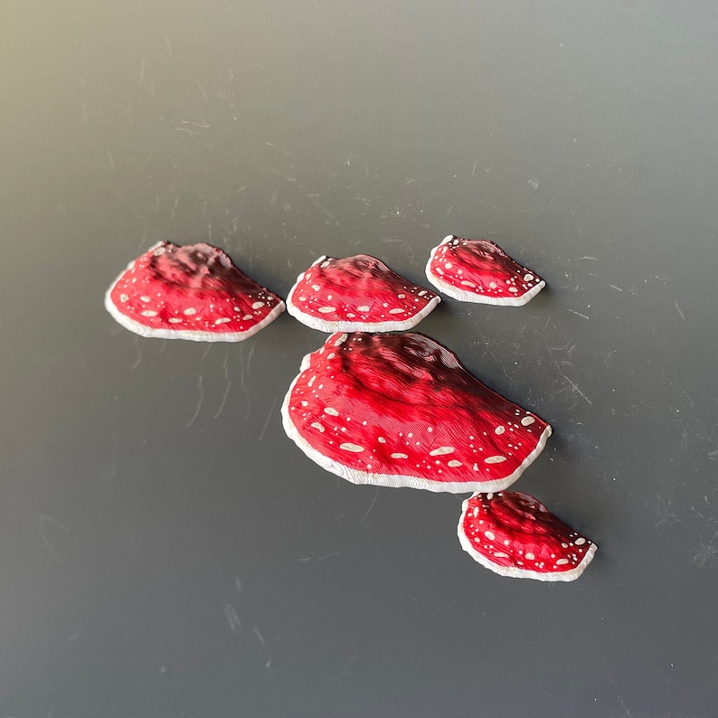 Mushroom Magnets, 3D fridge magnets Set of 5 red Amanita zdjęcie 2