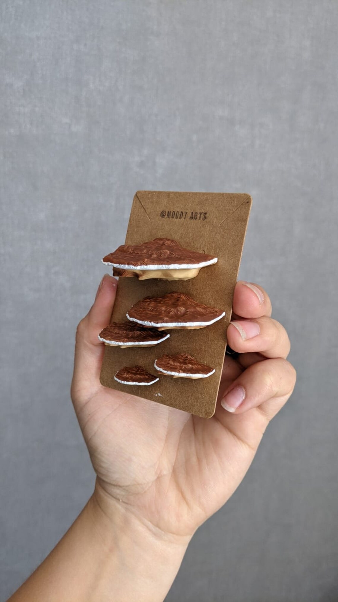 Mushroom Pins/Shelf fungi brown Set of 5 Etsy
