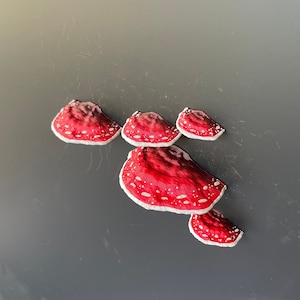 Mushroom Magnets, 3D fridge magnets Set of 5 red Amanita zdjęcie 4