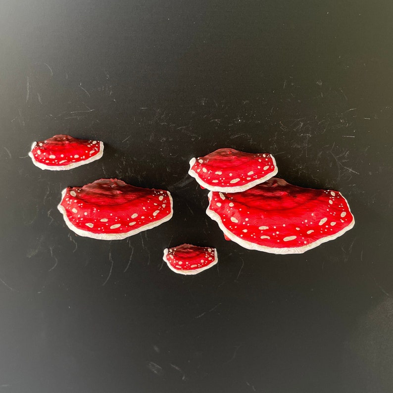 Mushroom Magnets, 3D fridge magnets Set of 5 red Amanita zdjęcie 6