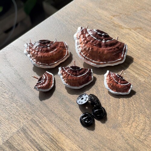 Reishi Mushroom Pins/shelf Fungi Beige/brown set of 5 Etsy