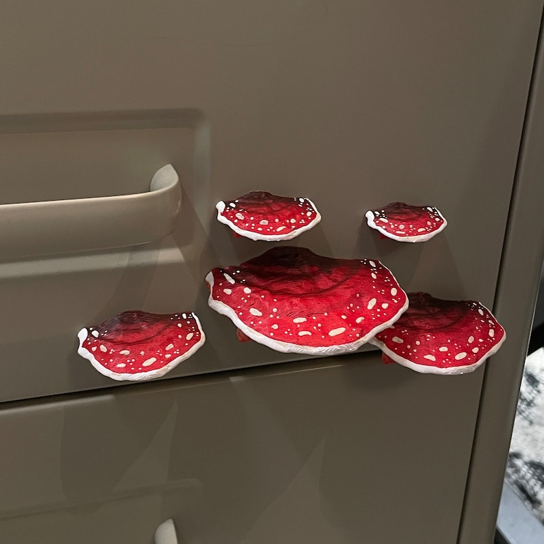 Mushroom Magnets, 3D fridge magnets Set of 5 red Amanita zdjęcie 5
