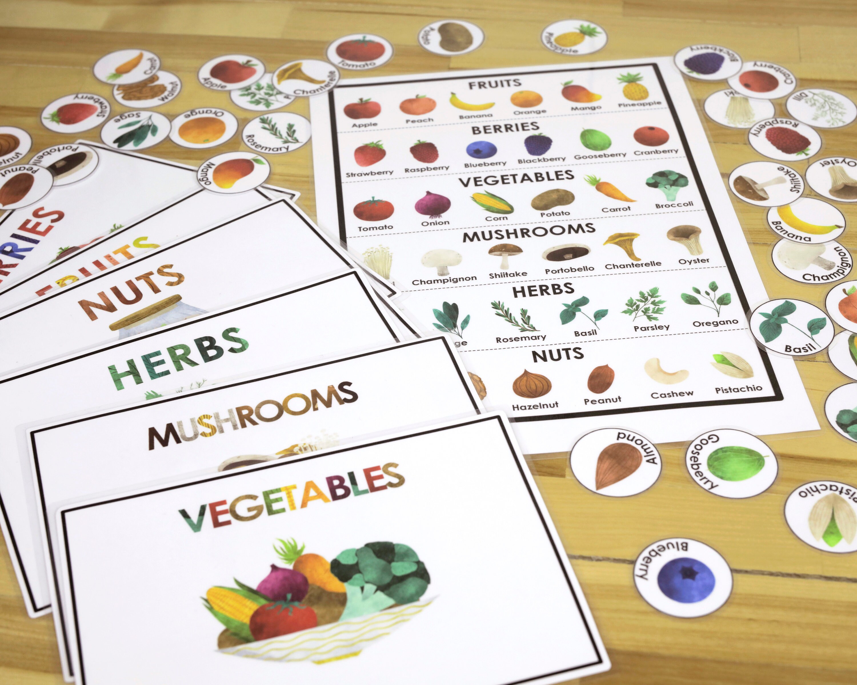 Gifts of Nature Sorting Activity Homeschool Preschool Busy Etsy