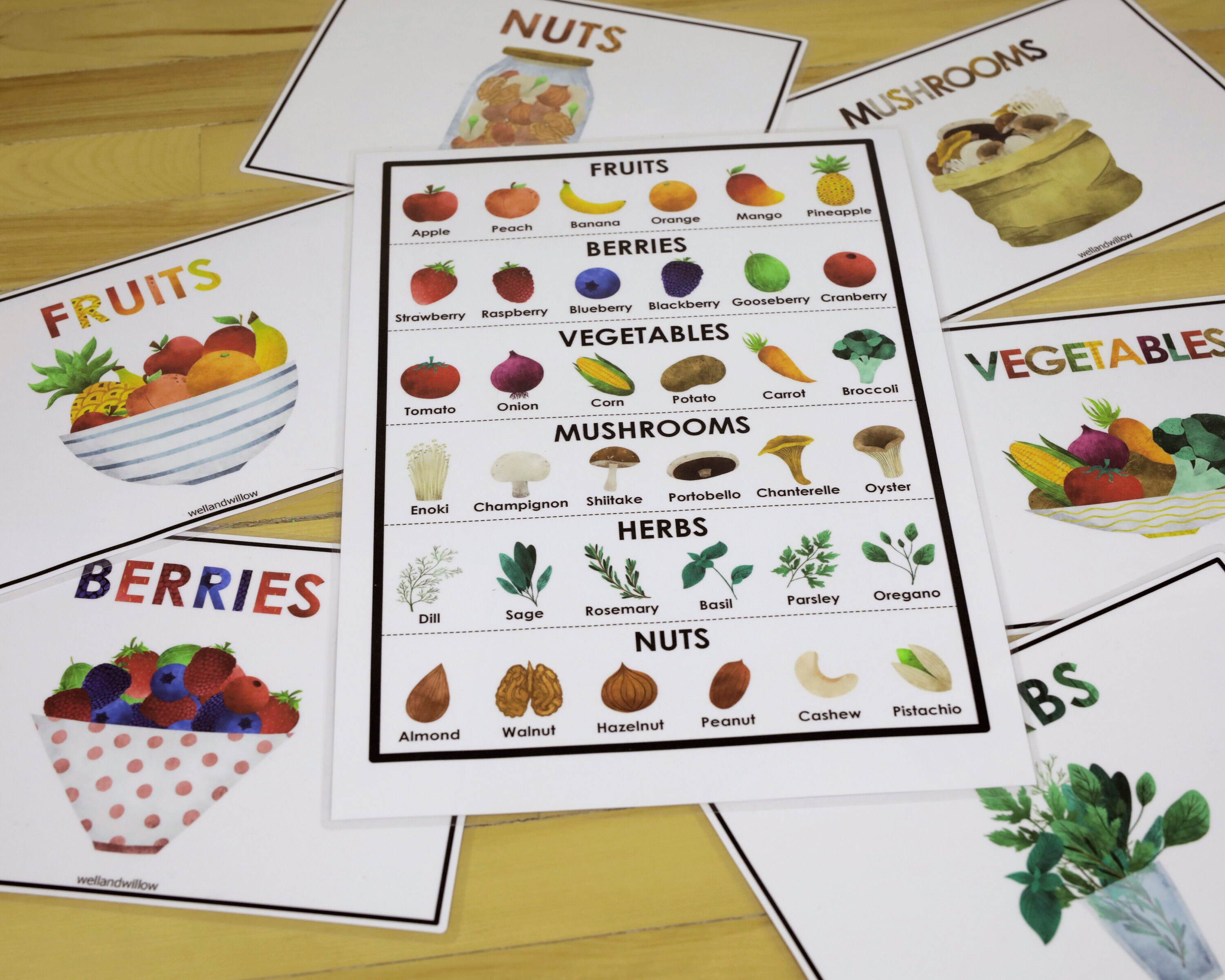 Gifts of Nature Sorting Activity Homeschool Preschool Busy Etsy