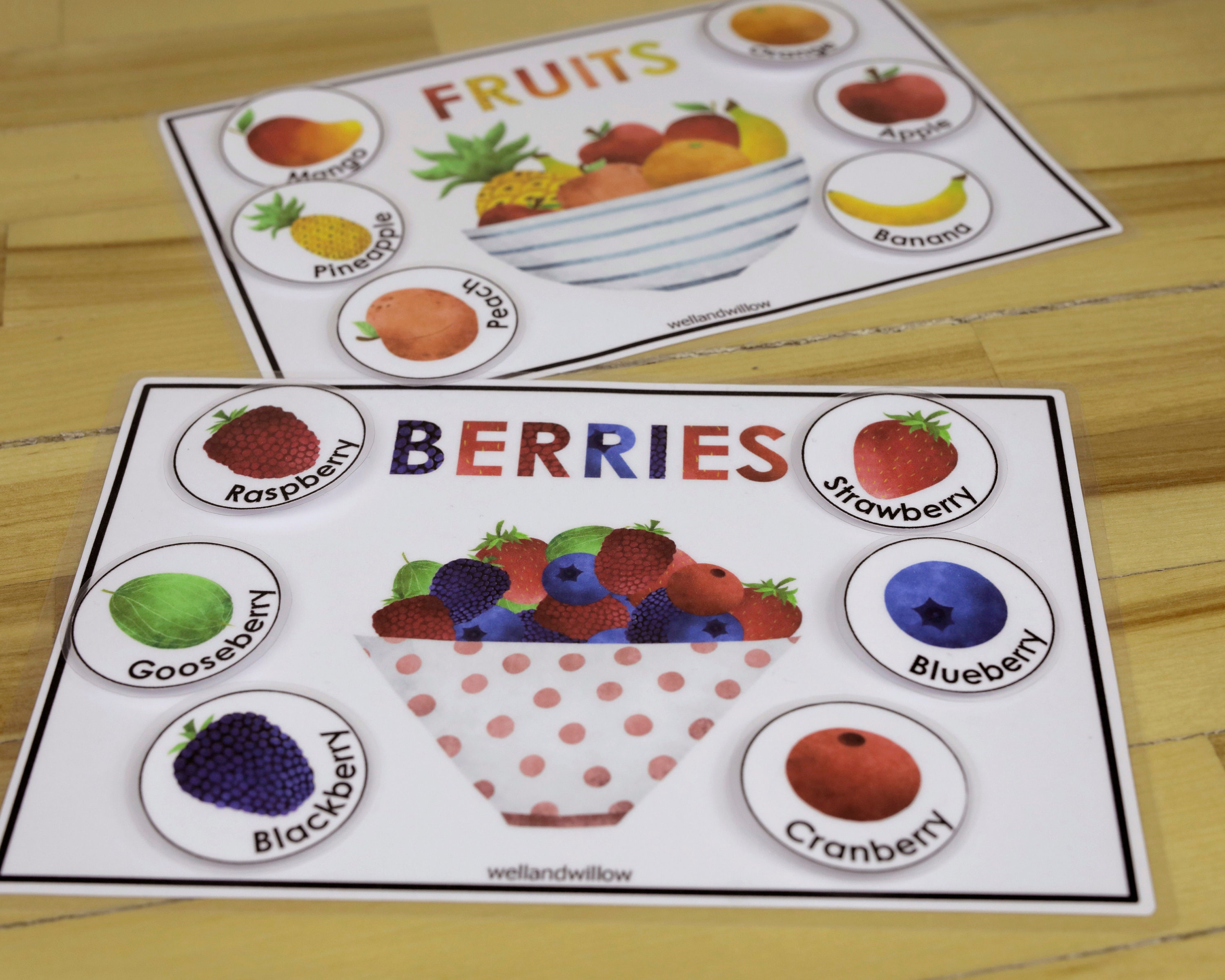 Gifts of Nature Sorting Activity Homeschool Preschool Busy Etsy