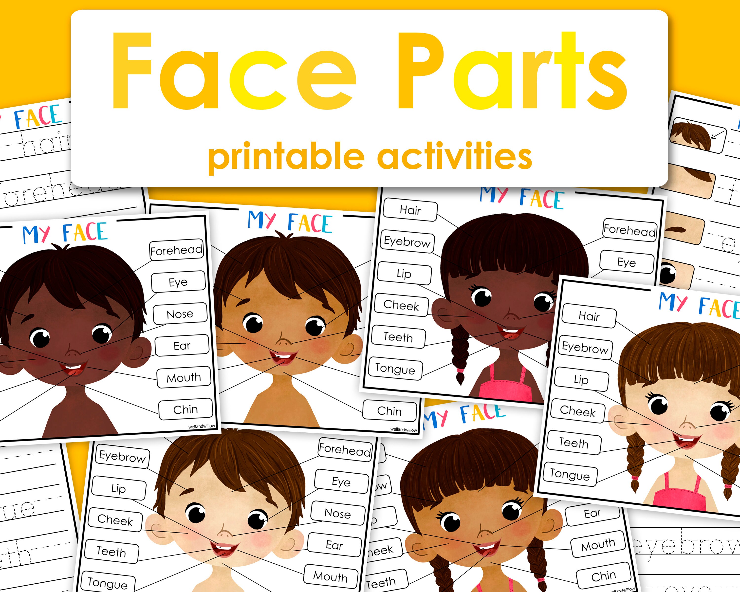 My Face Parts Printable Activity Homeschool Learning Human Etsy