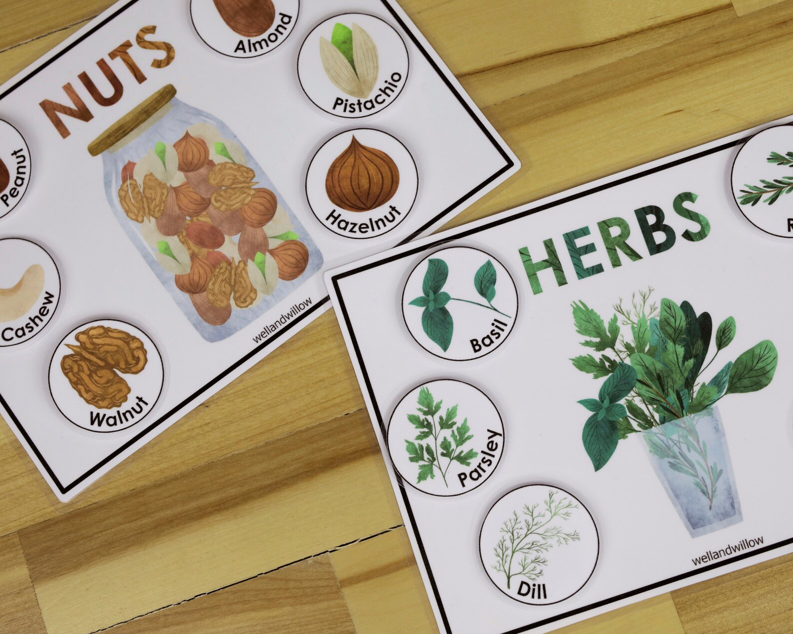 Gifts of Nature Sorting Activity Homeschool Preschool Busy Etsy