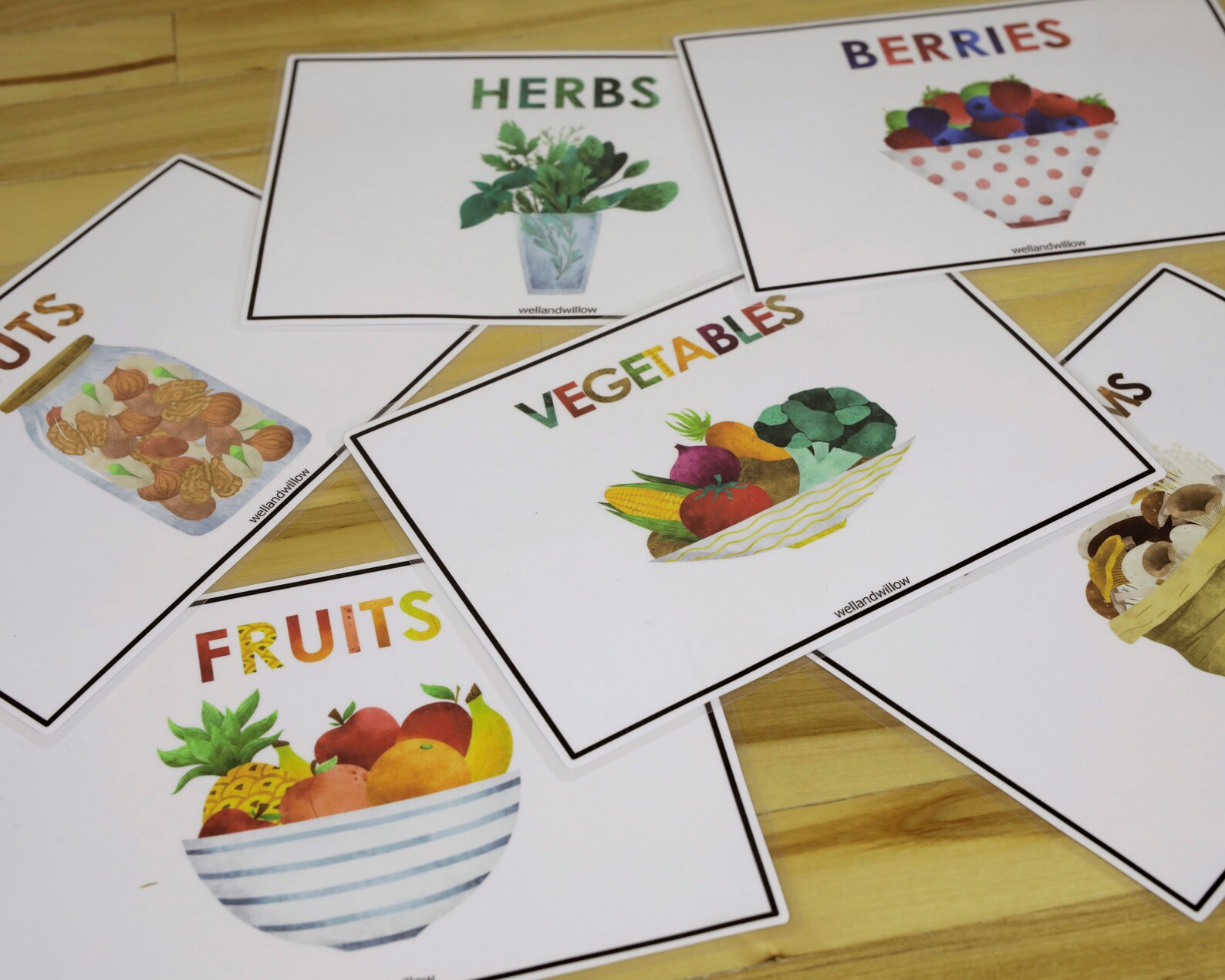 Gifts of Nature Sorting Activity Homeschool Preschool Busy Etsy