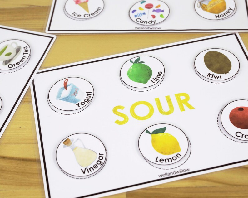 Sense of Taste Sorting Game Homeschool Preschool Binder | Etsy