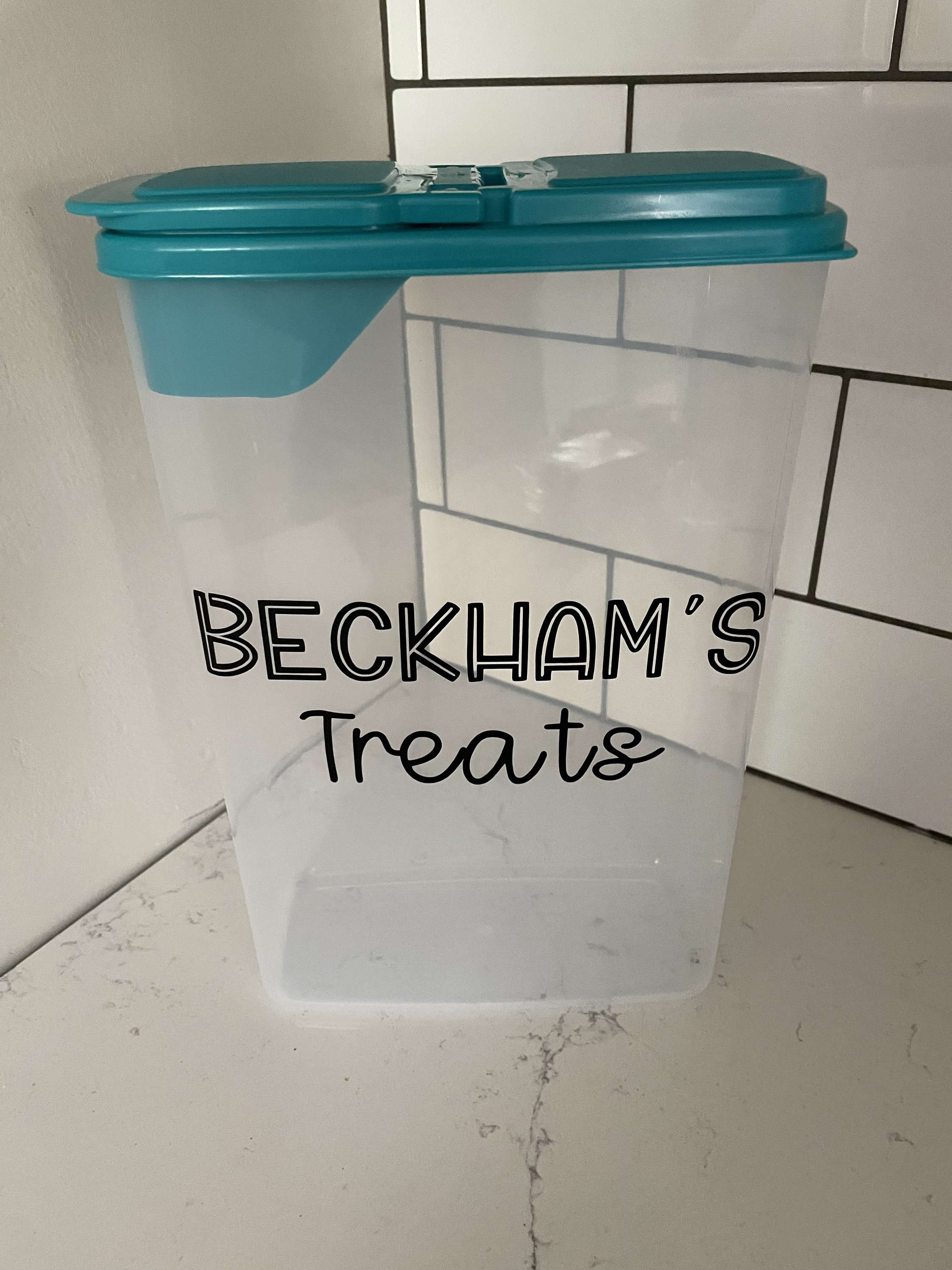 Custom Horse Treat Container Treat Container Equestrian Etsy