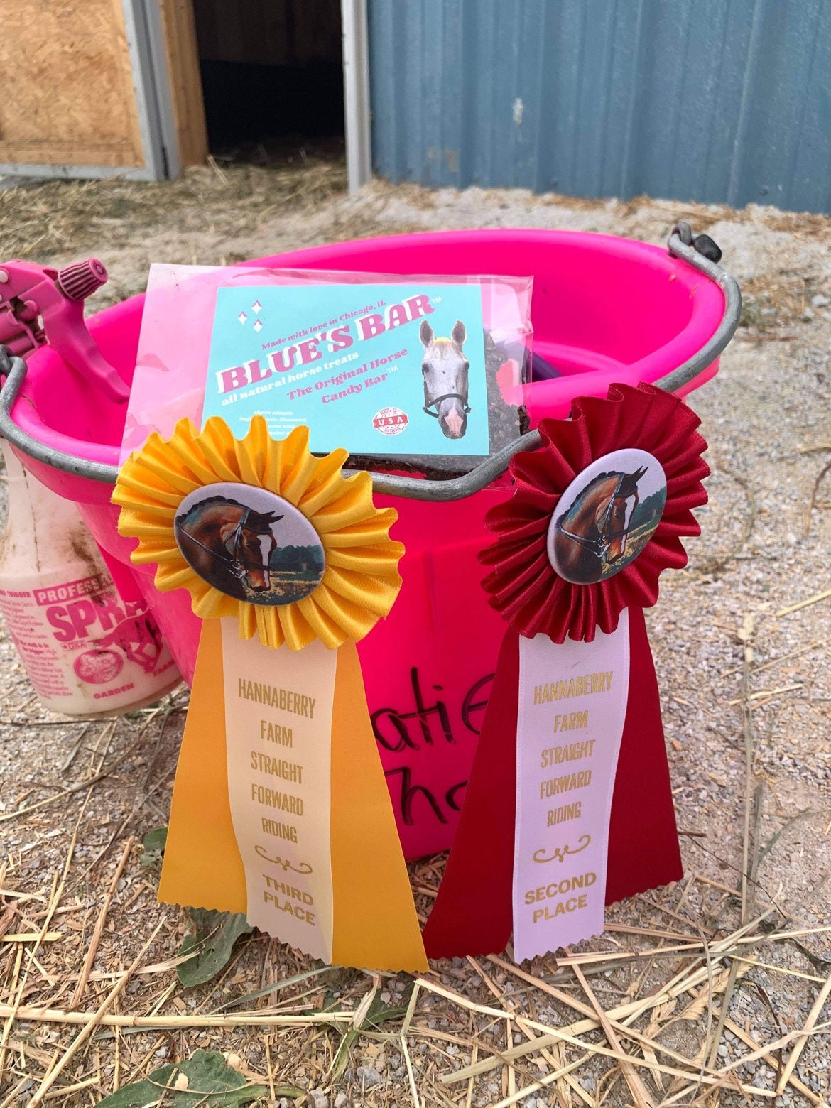 Custom Horse Treat Container Treat Container Equestrian Etsy