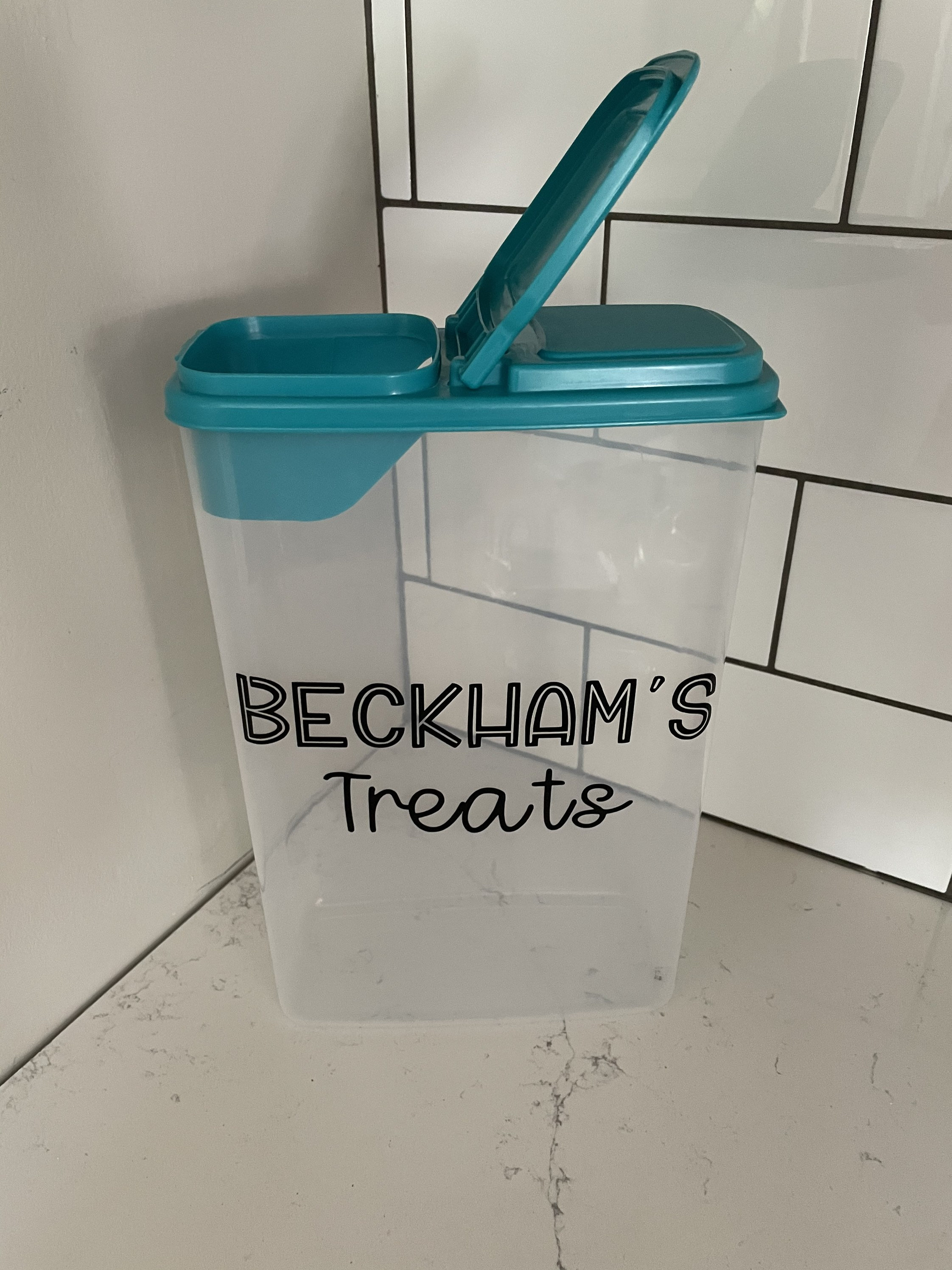 Custom Horse Treat Container Treat Container Equestrian Etsy