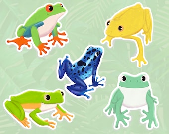 Rainforest frogs sticker set / water bottle stickers / cute stickers / animal stickers / laptop stickers / gift ideas / frog stickers