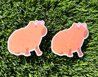 Capybara sticker holographic / water bottle stickers / cute stickers / animal stickers / laptop stickers / gift ideas / funny sticker