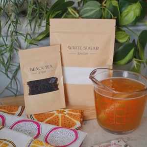 Kombucha SCOBY Home Brew Kit | STRONG Starter Tea Probiotic Culture | Sustainable Gift Idea | Fermented Food & Drinks | Kombucha Pellicle