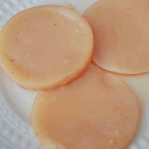 Wholesale Kombucha SCOBY Pellicle | Probiotic Home Brewing Party | Mother Mushroom | Fermented Living Food + Drinks | Gut Health