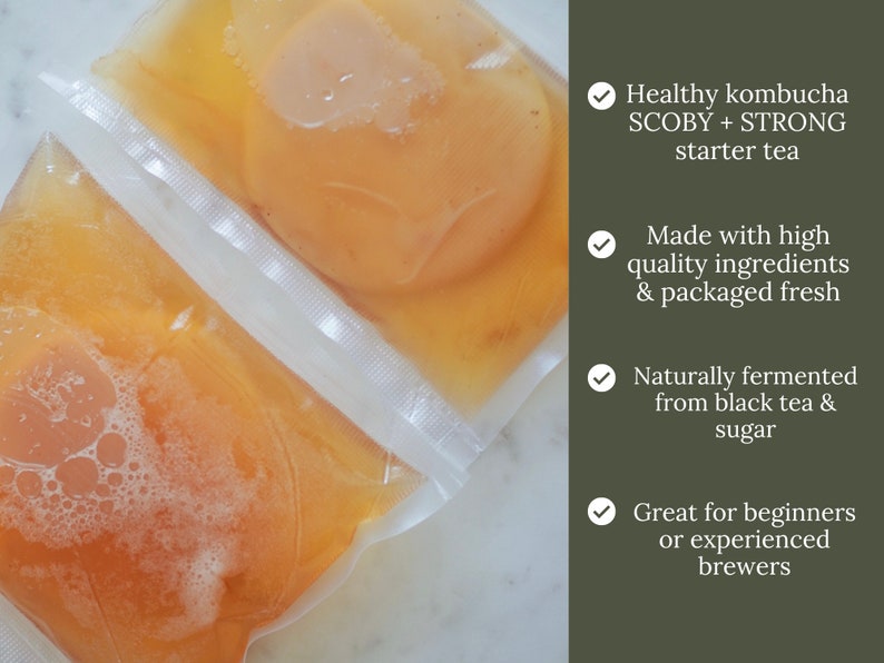 Kombucha SCOBY Pellicle STRONG Starter Tea Probiotic Culture Home Brew Kombucha Fermented Food & Drinks Sustainable Creative Gift image 3