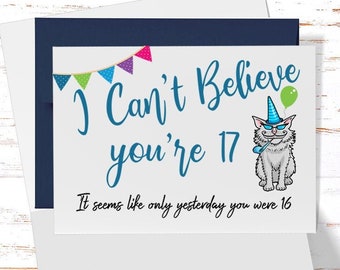 Funny 17th Birthday Card for her, Sarcastic Birthday Card for 17th Birthday, Cute Card for Son, Brother,Daughter, Niece, Grandson