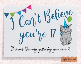 Printable Funny 17th Birthday Card for her, Sarcastic Birthday Card for 17th Birthday, Cute Card for Son, Brother,Daughter, Niece, Grandson