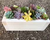 9 Colorful Succulent Centerpiece and Natural Planter Box. Hand-crafted planter box with a beautiful variety of succulents. DIY assembly