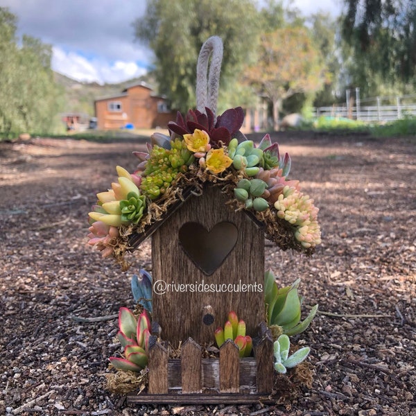 Mini Succulent Heart Birdhouse Kit | Fun Craft for Team Building, Garden Party, Birthday celebration, Baby Shower favor, Fairy Garden Gift