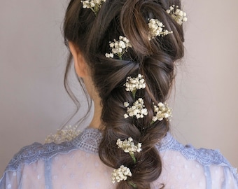 3 pcs/5 pcs/8 pcs Babys small breath hair pins Gypsophila hair piece Dried flower hair accessory Rustic headpiece Bridal hair piece Boho