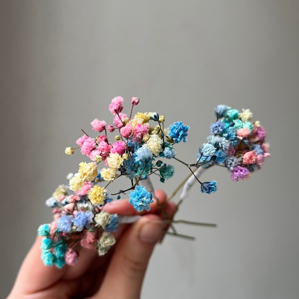 Rainbow Dried flower hair pins LGBT Wedding hair accessories Flower hair clips Blue pink Yellowhair piece Boho hair pins Bridesmaid spring