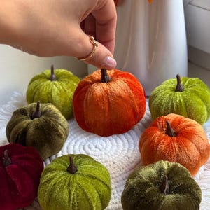 Puede incluir: Una colección de pequeñas calabazas de terciopelo en varios colores otoñales: naranja, verde, burdeos y oliva. Cada calabaza tiene un tallo marrón y se encuentra sobre una superficie blanca texturizada. Las calabazas están dispuestas en un patrón circular.