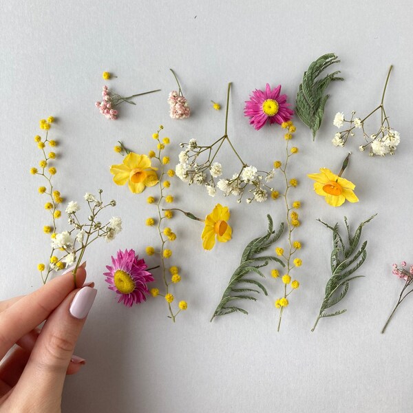 Dried small flowers for resin Thin dried flowers for resin jewelry Resin supply Mini garden Different flower mix for resin Narcissus Mimosa