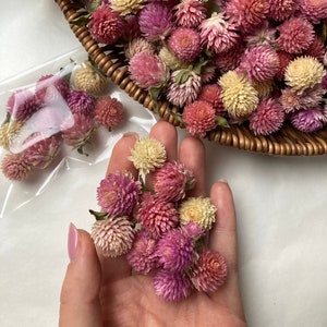 Mix Pink Gomphrena heads Tiny flowers for resin jewelry Pink Globe Amaranth Table decoration Dried flowers Pink smallest flowers for resin