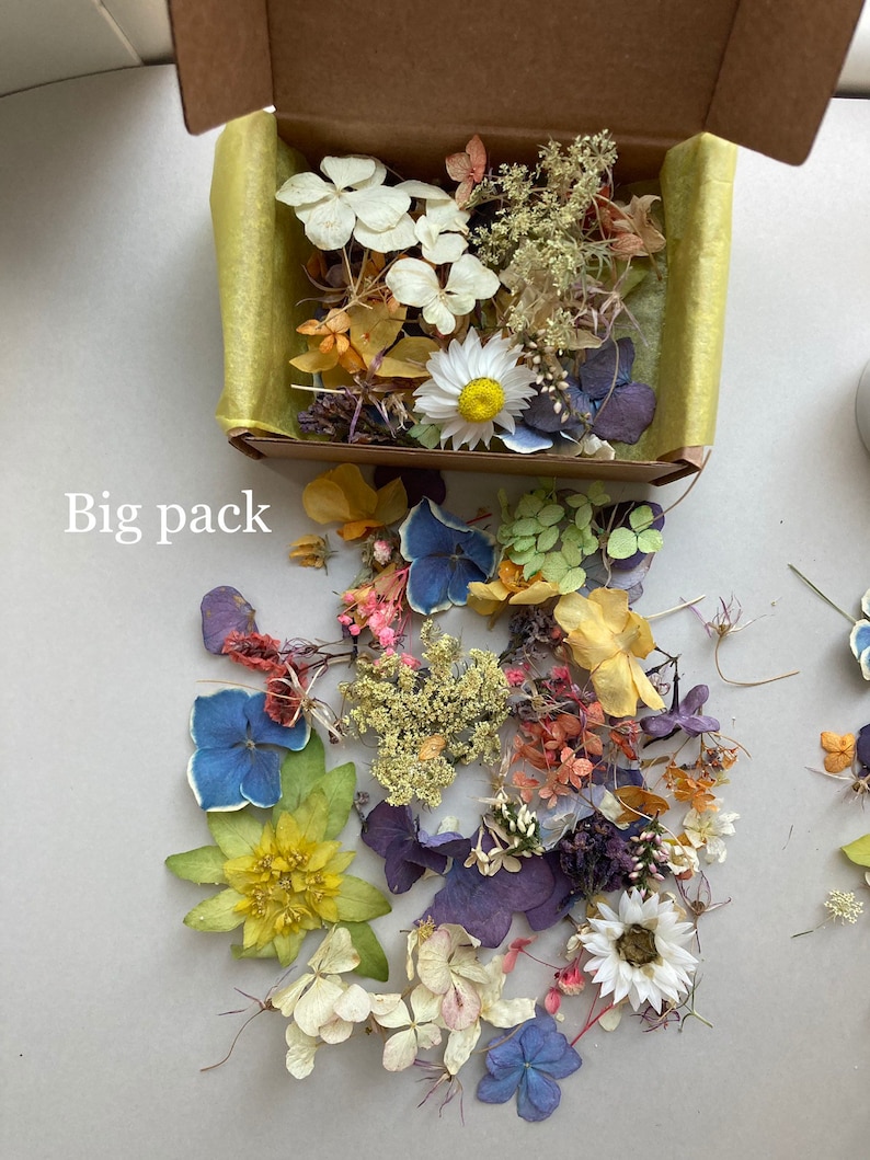 Dried Small Flowers for Resin Tinest Dried Flowers for Resin Etsy