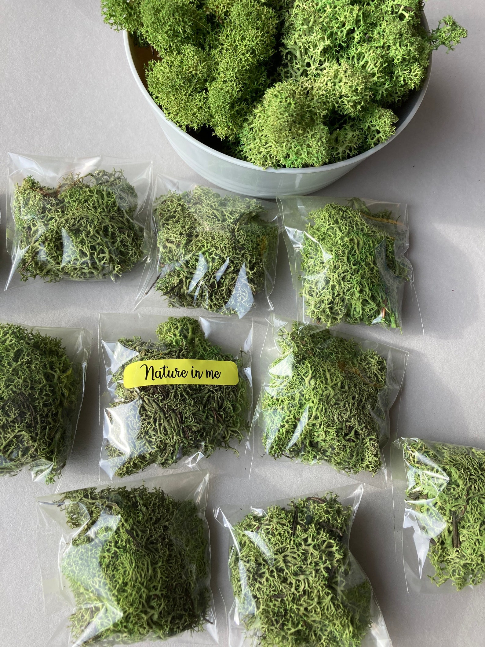 Preserved green moss pcs Dried plants Pressed moss Green resin Etsy