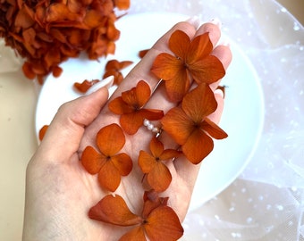 Fleurs de mariage en terre cuite Hortensia sec Hortensia orange séché Vraies fleurs séchées Fleurs d'invitation Fleurs de mariage Préservées Automne Automne