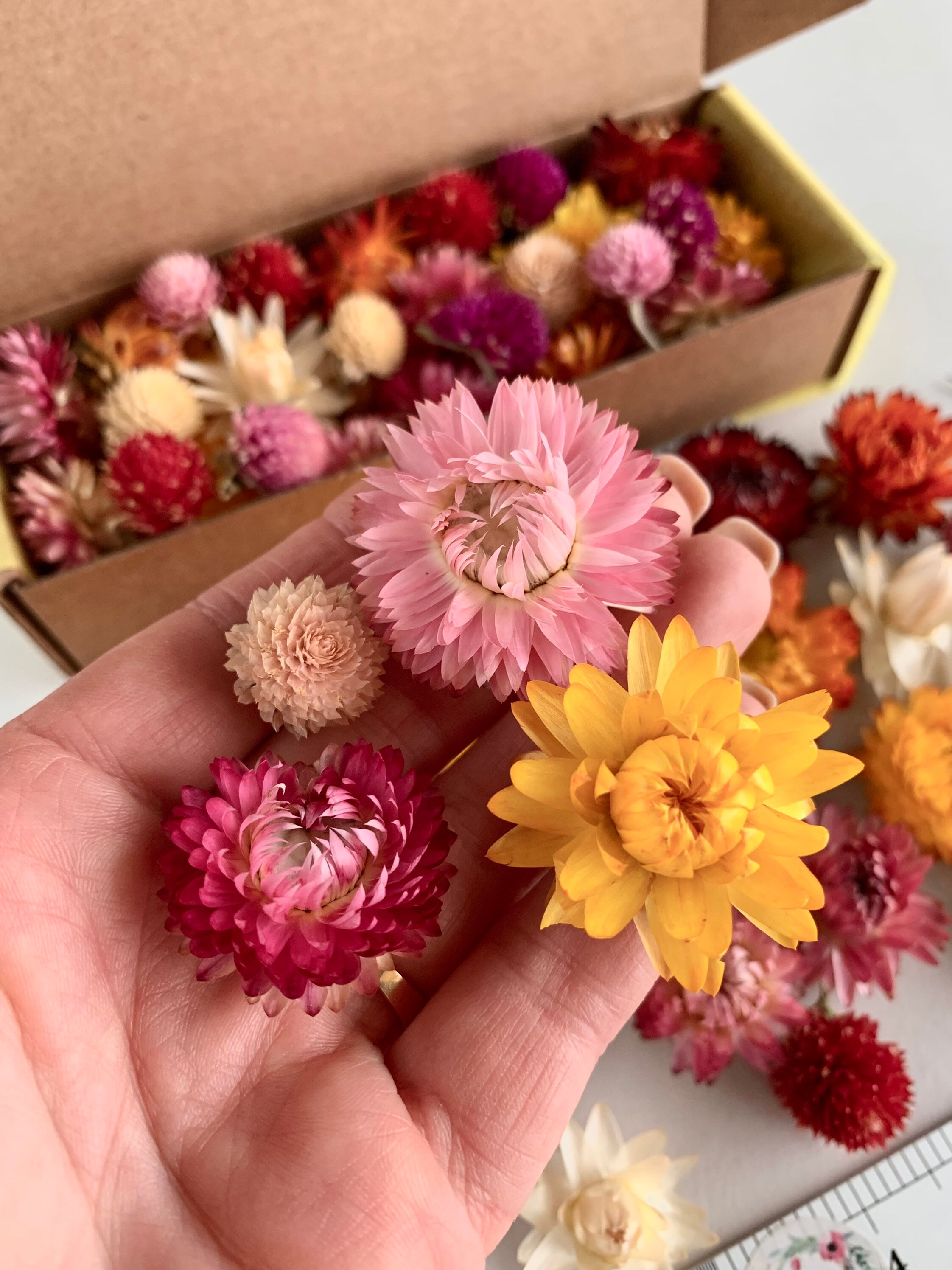 Tiny Flowers for Resin Dried Pink Gomphrena Strawflowers Dry Etsy