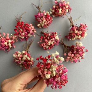 Set di fiori di gypsophila essiccati rosa e rossi arcobaleno, bouquet di fiori di gypsophila naturali, gypsophila essiccati per gioielli in resina