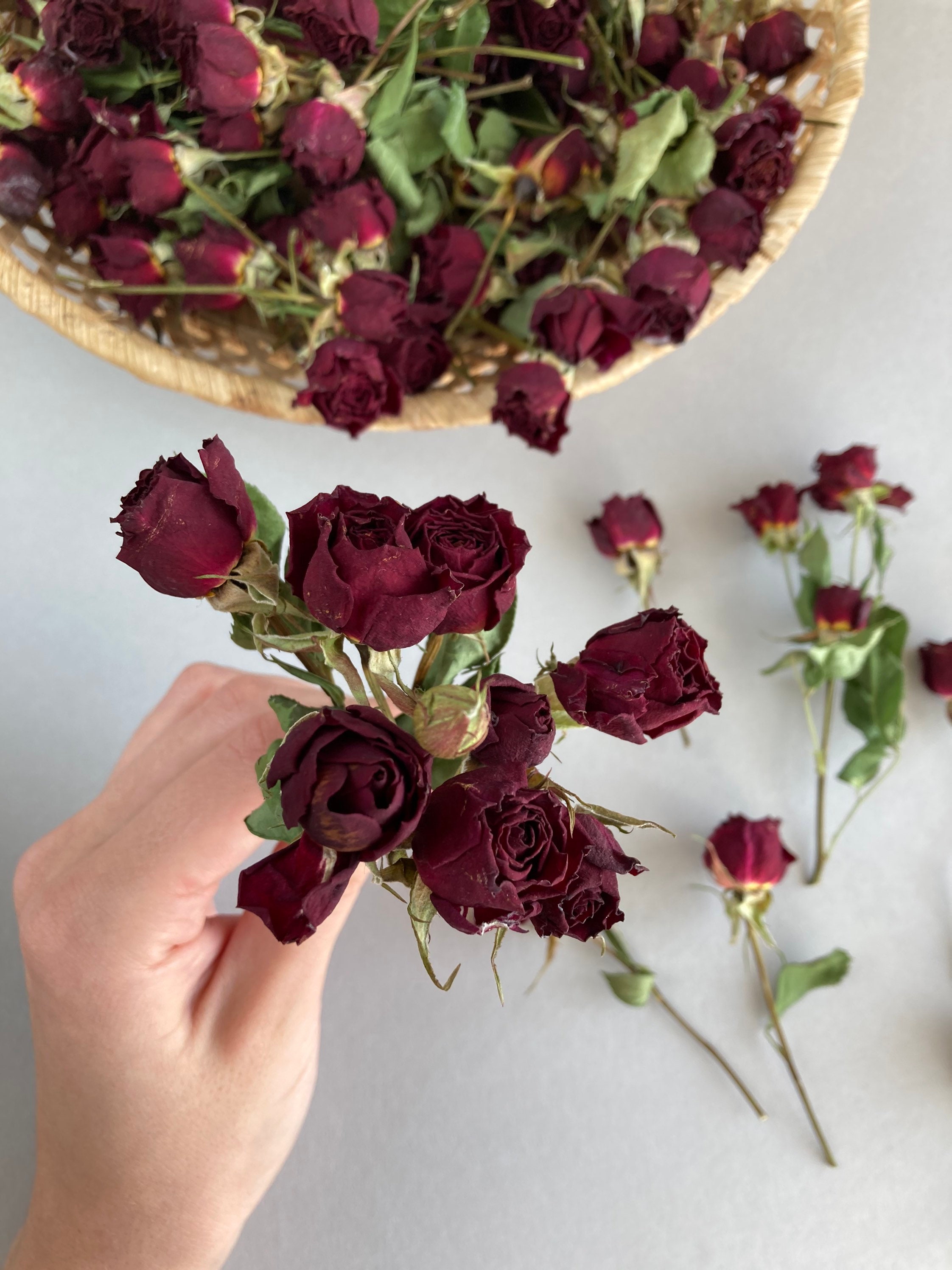 Dried Tiny Red Roses 5pcs, Small Burgundy Roses, Dark Red Dried Roses for  Decors 