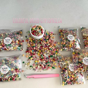 Colorful Gypsophila Small flowers for resin jewelry Flowers by weight Mini flowers Dry Tiny flowers Babys breath flowers blue pink purple