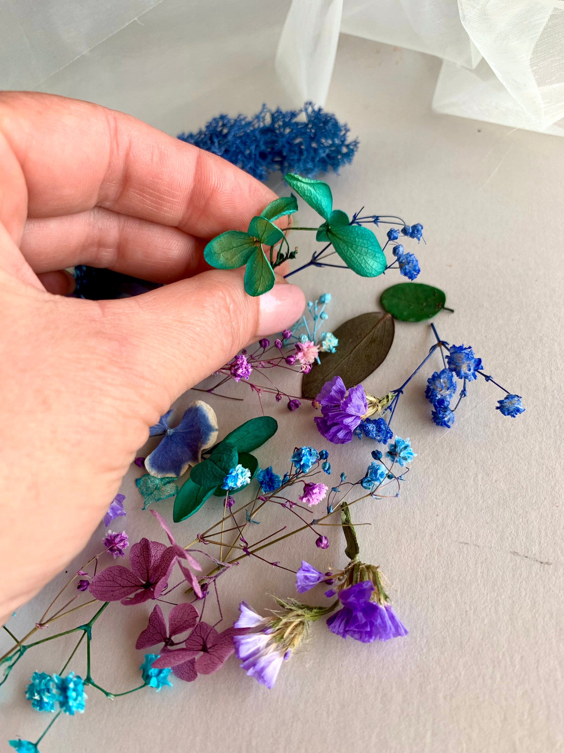 Dried Flowers for Resin Hydrangea Gypsophila Moss Dry Resin Etsy