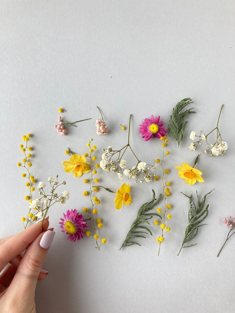 Dried Small Flowers for Resin Thin Dried Flowers for Resin Etsy