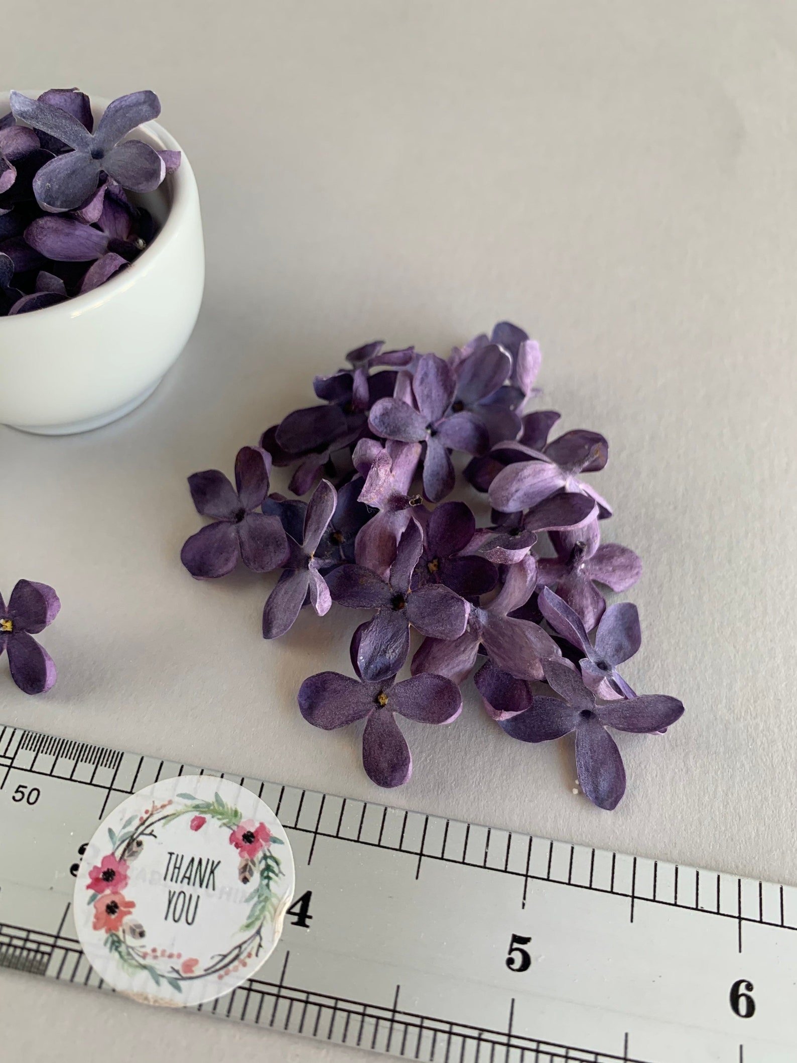Lilac dried flowers Purple pressed flowers 10/20/30 pcs Etsy