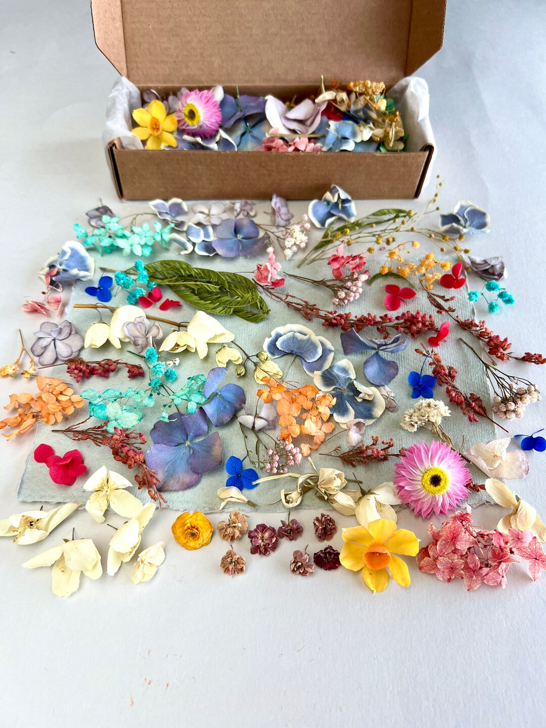 80 Tiny Flowers for Resin Dried Ozothamnus Dry Hydrangea Etsy