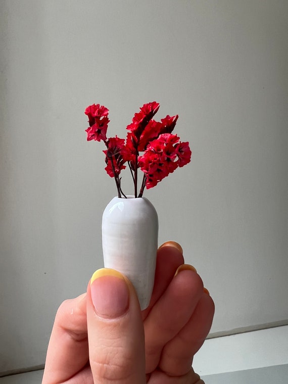 Originale bouquet di fiori secchi di piccoli fiori rossi su sfondo bianco