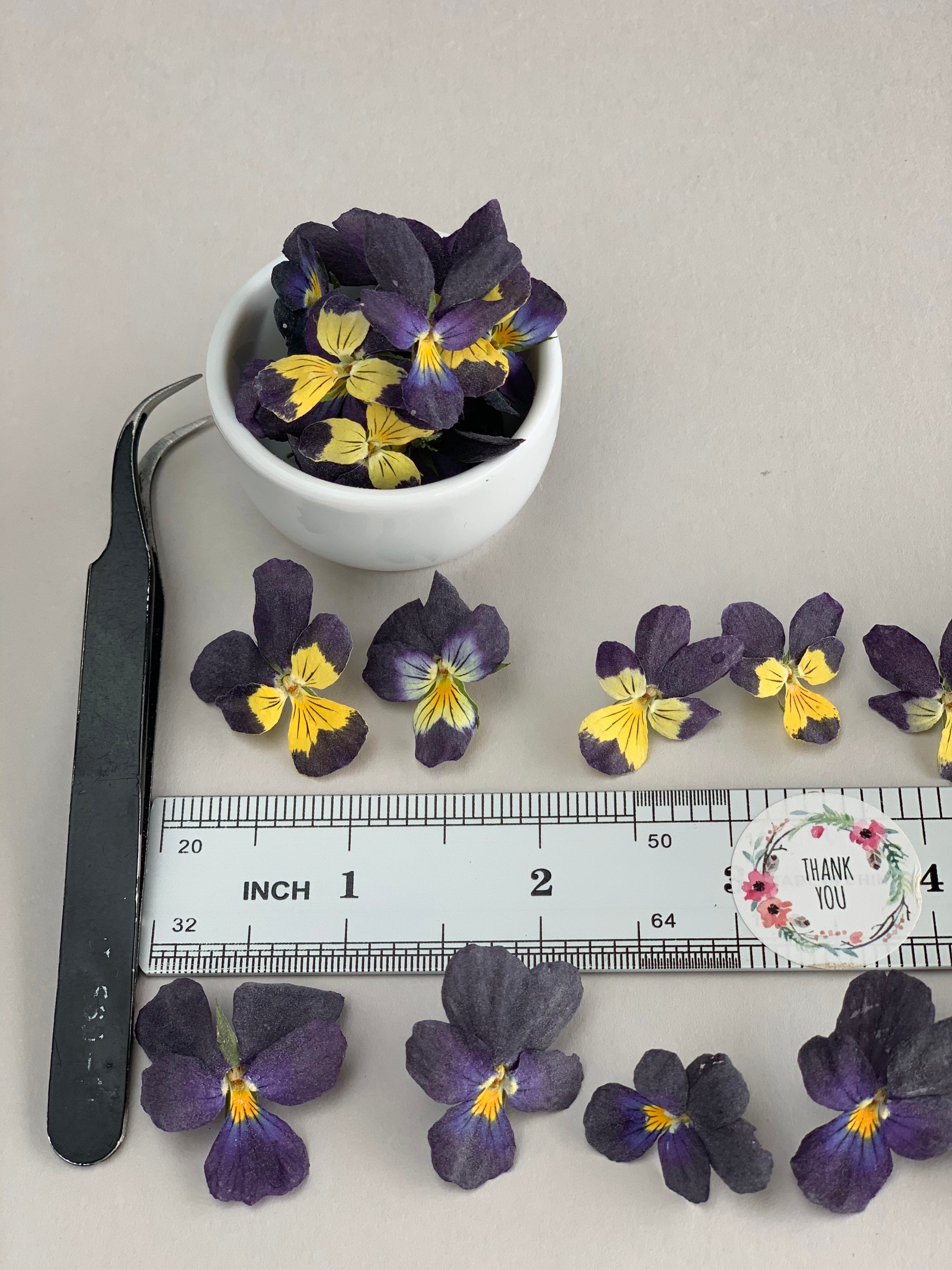 120 Fiori Secchi Gypsophila Rosa Con Pinzette - Per Decorazioni Fai Da Te, Manicure E Crafts - Foto 12