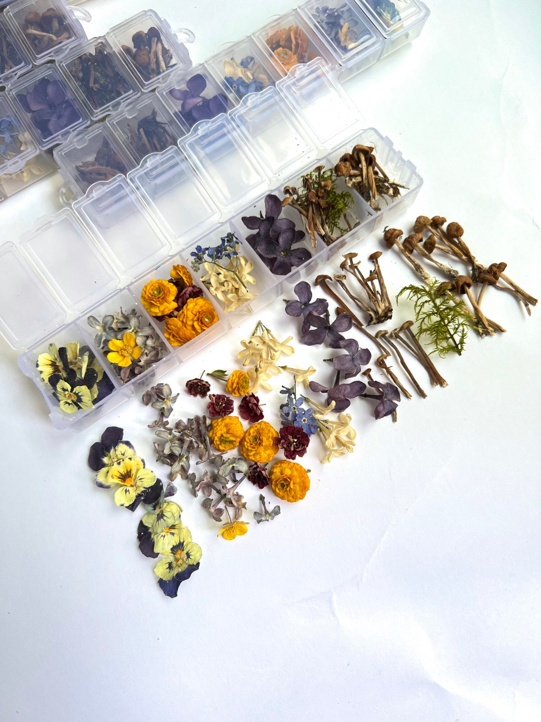 Dried Flower Box Colorful Flowers Dried Flowers Mix Dried Lilacs